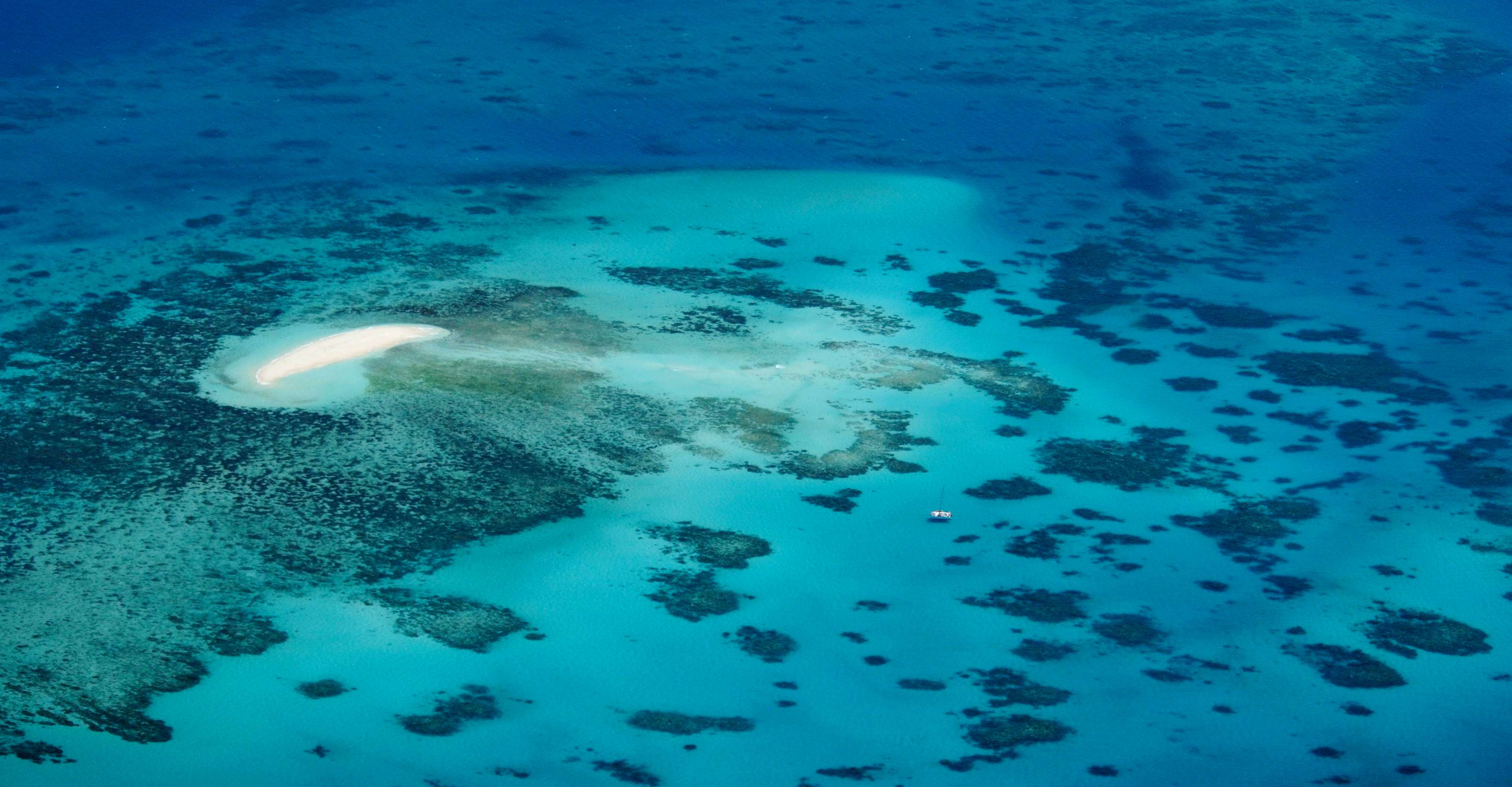 Cairns PADI course