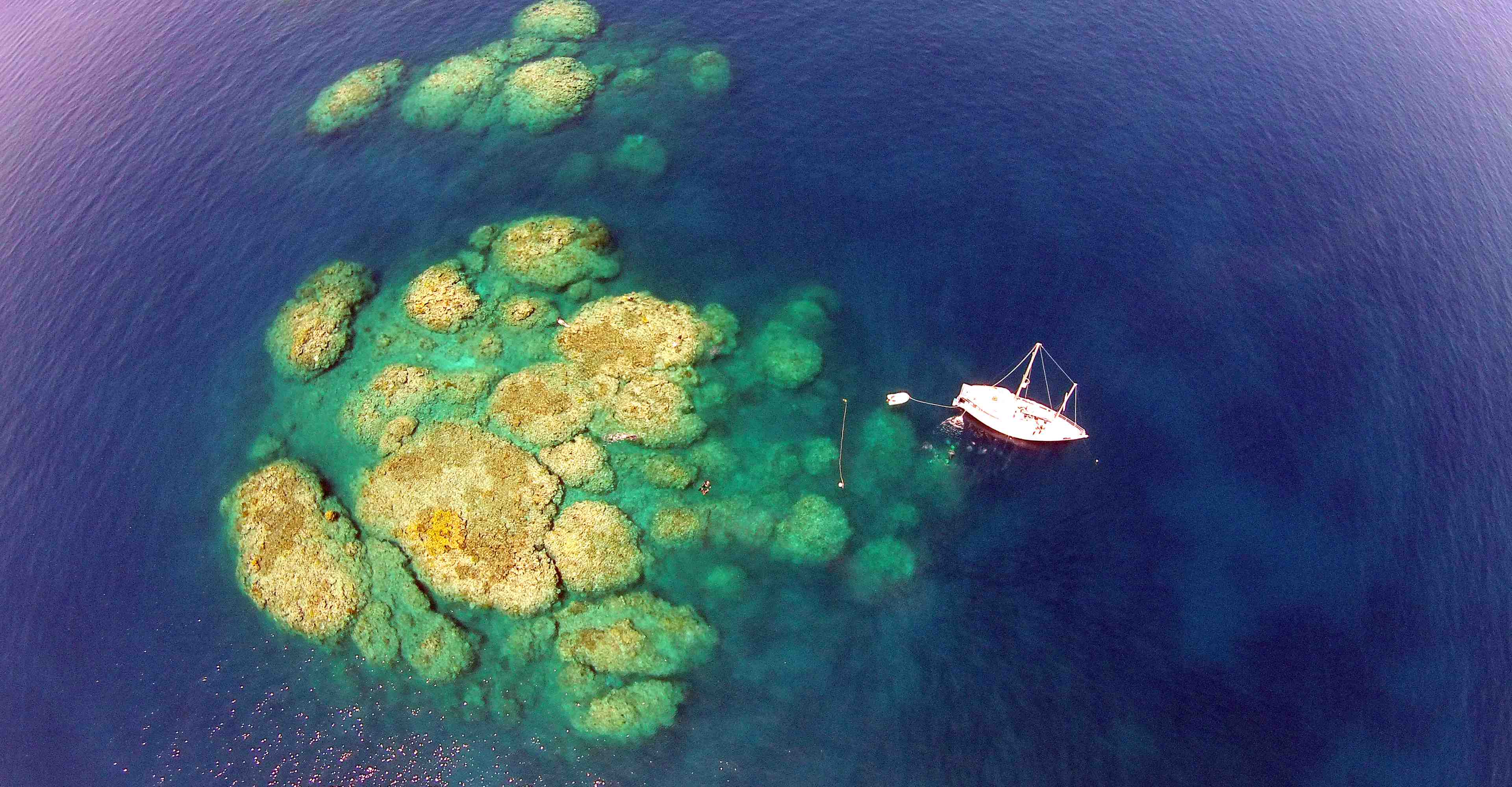 snorkeling Cairns
