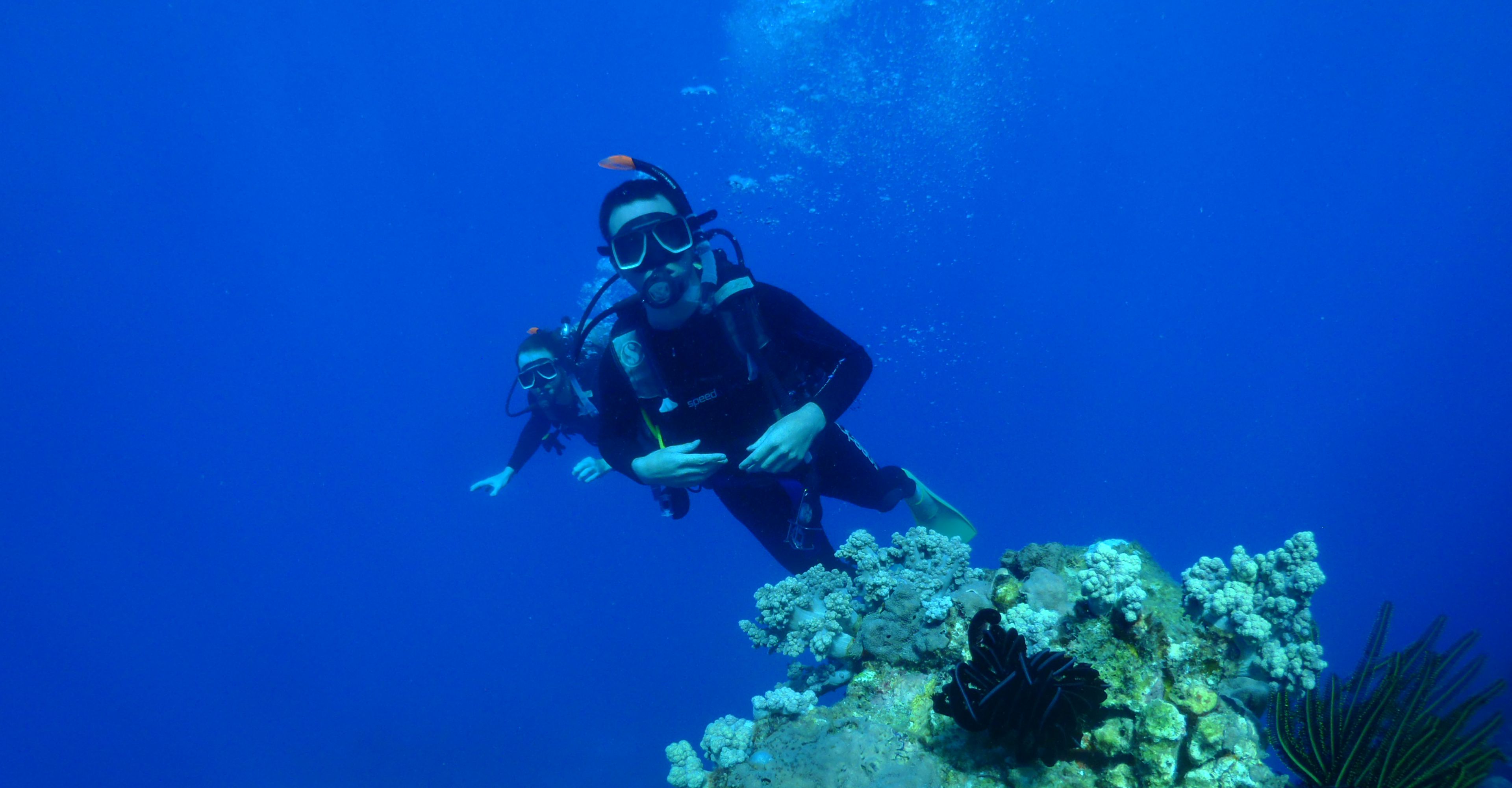 scuba diving Cairns