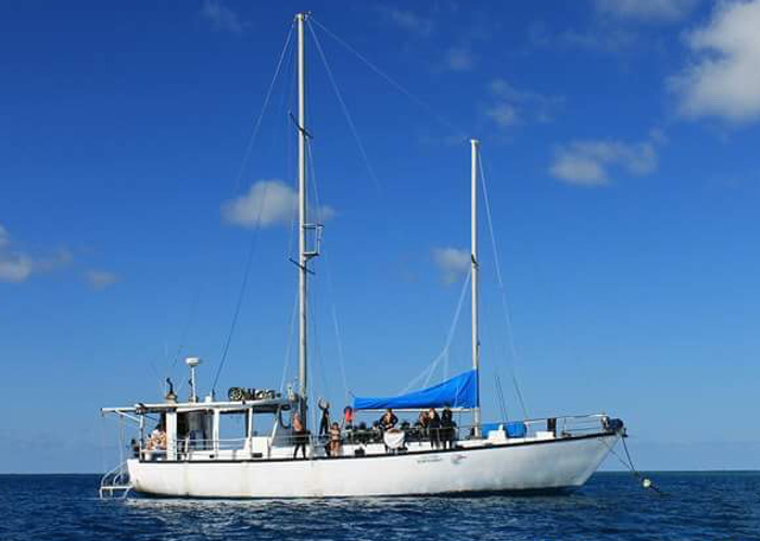 Cairns PADI course