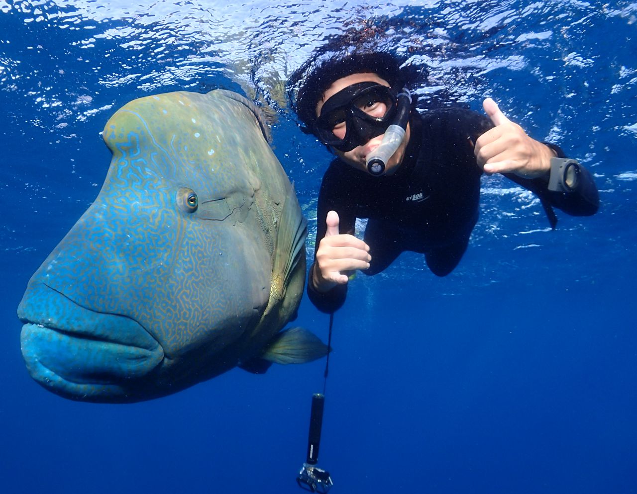 Cairns scuba diving